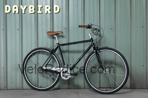 Fairdale Daybird scheda tecnica e recensioni